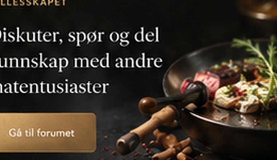 Kjøkken, råvarer og samtaler i Matsnakk-forumet